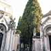 A sinistra la cappella Buonvino costruita da Giuseppe Laricchia, in stile gotico. A destra la cappella Germinario realizzata da Giuseppe Favia